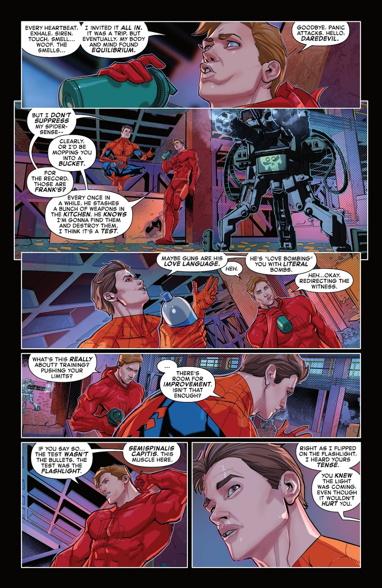 Homem-Aranha conversando com o Demolidor em The Amazing Spider-Man #29